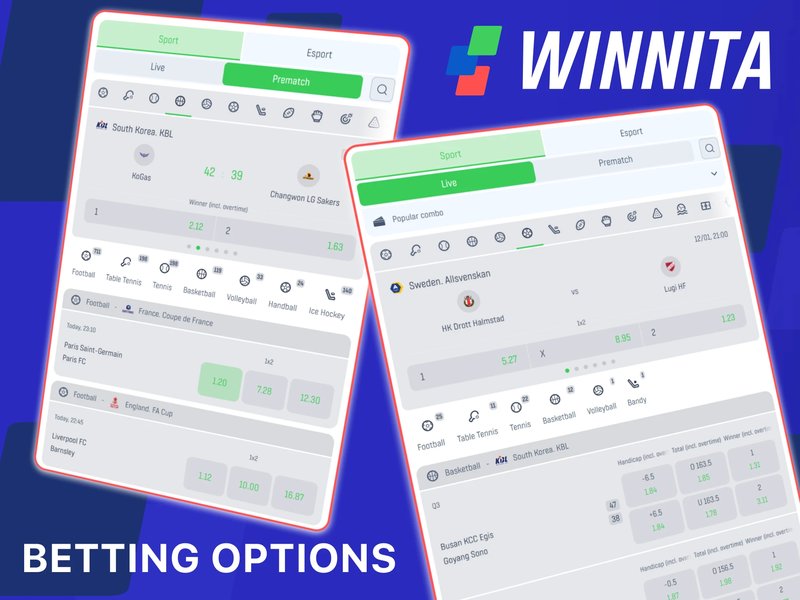 Scopri Winnita, il nuovissimo casinò online con accesso facile e giochi
